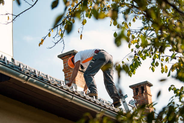 Best Slate Roofing Contractor  in Nd Point, WI