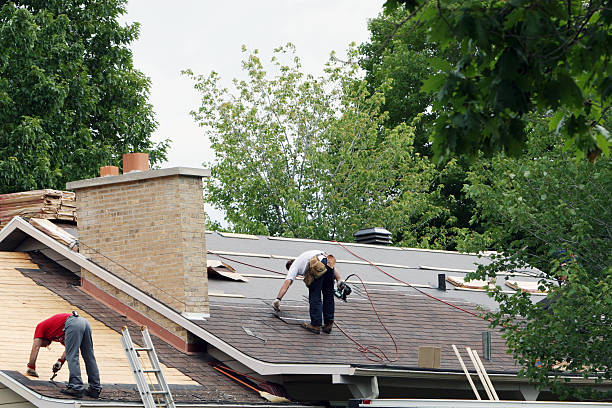Best Shingle Roofing Installation  in Nd Point, WI