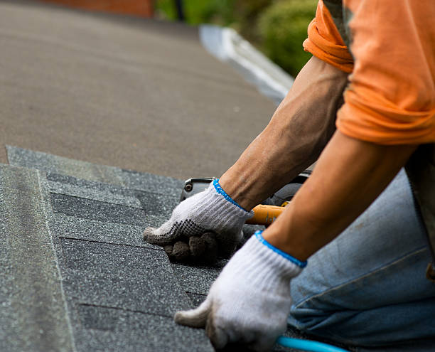 Best Roof Maintenance Services  in Nd Point, WI