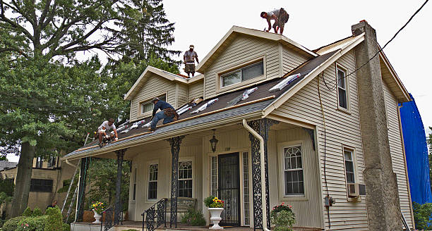 Best New Roof Installation  in Nd Point, WI