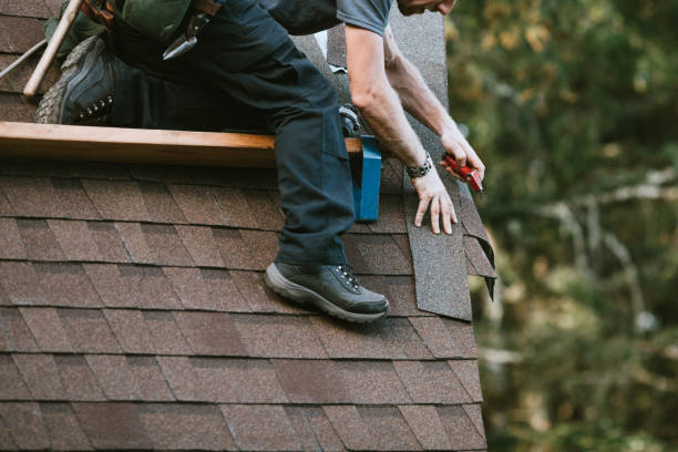 Best Roof Restoration Services  in Nd Point, WI